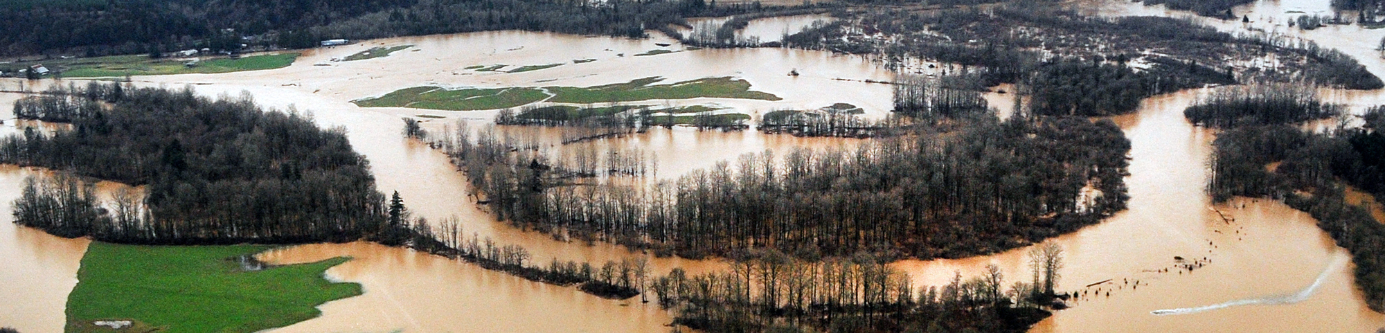 Muddy flood waters go beyond riverbanks into Washington farms and forest.